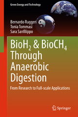 BioH2 & BioCH4 Through Anaerobic Digestion - Bernardo RUGGERI, Tonia Tommasi, Sara Sanfilippo