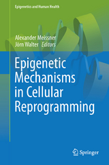 Epigenetic Mechanisms in Cellular Reprogramming - 