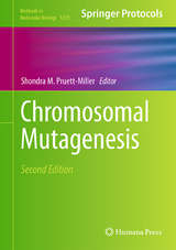 Chromosomal Mutagenesis - 
