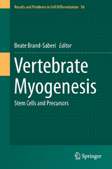 Vertebrate Myogenesis - 