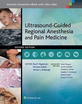 Ultrasound-Guided Regional Anesthesia and Pain Medicine - Bigeleisen, Paul E.; Gofeld, Michael; Orebaugh, Steven L.