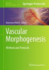 Vascular Morphogenesis - 