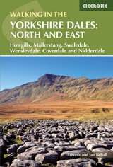 Walking in the Yorkshire Dales: North and East - Dennis Kelsall