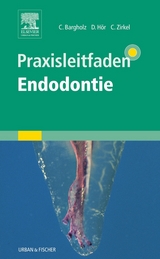 Praxisleitfaden Endodontie - Bargholz, Clemens; Hör, Dirk; Zirkel, Christoph; Beer, Rudolf