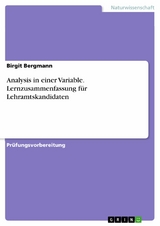 Analysis in einer Variable. Lernzusammenfassung für Lehramtskandidaten - Birgit Bergmann