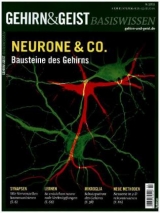 Neurone & Co.