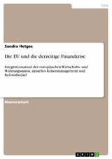 Die EU und die derzeitige Finanzkrise - Sandra Hetges