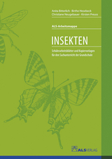 Insekten - Birthe Hesebeck, Anita Bitterlich, Christiane Neugebauer, Kirsten Preuss