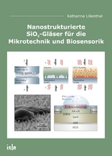 Nanostrukturierte SiO2-Gläser für die Mikrotechnik und Biosensorik - Katharina Lilienthal