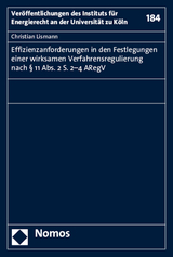 Effizienzanforderungen in den Festlegungen einer wirksamen Verfahrensregulierung nach § 11 Abs. 2 S. 2-4 ARegV - Christian Lismann