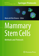 Mammary Stem Cells - 