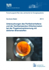 Untersuchungen des Partikelverhaltens und der Hochtemperatur-Chlorkorrosion bei der Flugstromverbrennung mit dotierten Brennstoffen - Gundula Balan