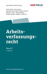 Arbeitsverfassungsrecht Bd 2 - Elias Felten, Sieglinde Gahleitner, Rudolf Mosler, Walter J. Pfeil, Thomas Radner, Hannes Schneller, Josef Cerny, Joachim Preiss