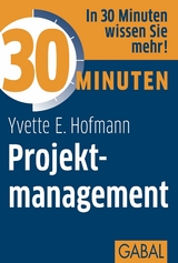 30 Minuten Projektmanagement - Yvette E. Hofmann