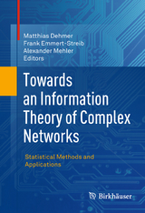 Towards an Information Theory of Complex Networks - 