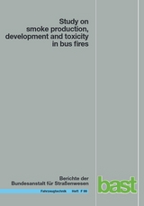 Study on smoke production, development and toxicity in bus fires - Anja Hofmann, Steffen Dülsen