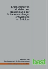 Erarbeitung von Modellen zur Bestimmung der Schadensumfangsentwicklung an Brücken - Stephan Müller