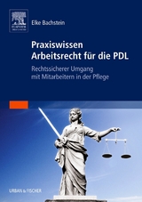 Praxiswissen Arbeitsrecht für die PDL - Bachstein, Elke