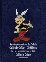 Asterix Gesamtausgabe 12 - René Goscinny, Albert Uderzo