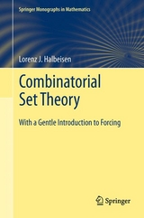 Combinatorial Set Theory -  Lorenz J. Halbeisen