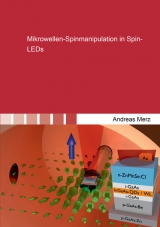 Mikrowellen-Spinmanipulation in Spin-LEDs - Andreas Merz