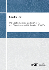 The Electrochemical Oxidation of H2 and CO at Patterned Ni Anodes of SOFCs - Annika Utz