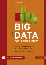 Big Data für IT-Entscheider - Baron, Pavlo