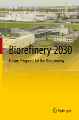 Biorefinery 2030 - Pierre-Alain Schieb, Honorine Lescieux-Katir, Maryline Thénot, Barbara Clément-Larosière