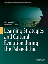 Learning Strategies and Cultural Evolution during the Palaeolithic - 