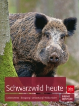 Schwarzwild heute - Hespeler, Bruno