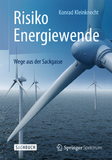 Risiko Energiewende - Konrad Kleinknecht