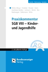 Praxiskommentar SGB VIII – Kinder- und Jugendhilfe - Möller, Winfried