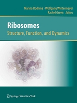 Ribosomes  Structure, Function, and Dynamics - 