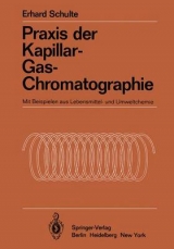 Praxis der Kapillar-Gas-Chromatographie - E. Schulte