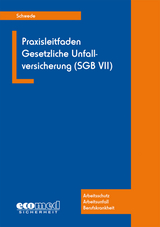 Praxisleitfaden Gesetzliche Unfallversicherung (SGB VII) - Schwede, Joachim