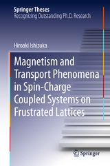 Magnetism and Transport Phenomena in Spin-Charge Coupled Systems on Frustrated Lattices - Hiroaki Ishizuka