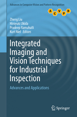 Integrated Imaging and Vision Techniques for Industrial Inspection - 