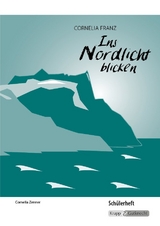 Ins Nordlicht blicken - Cornelia Franz - Cornelia Zenner