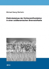 Elektrokatalyse der Kohlenstoffoxidation in einer oxidkeramischen Brennstoffzelle - Michael Georg Werhahn