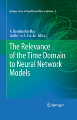 Relevance of the Time Domain to Neural Network Models - 