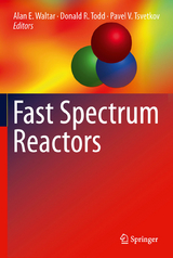 Fast Spectrum Reactors - 