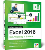 Excel 2016 - Petra Bilke, Ulrike Sprung