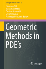 Geometric Methods in PDE’s - 