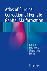 Atlas of Surgical Correction of Female Genital Malformation - 