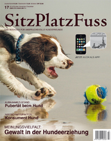 SitzPlatzFuss, Ausgabe 17 - 