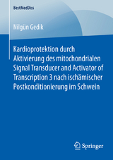 Kardioprotektion durch Aktivierung des mitochondrialen Signal Transducer and Activator of Transcription 3 nach ischämischer Postkonditionierung im Schwein - Nilgün Gedik
