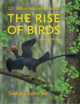 The Rise of Birds - Chatterjee, Sankar