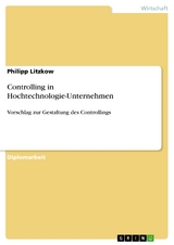 Controlling in Hochtechnologie-Unternehmen - Philipp Litzkow