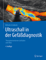 Ultraschall in der Gefäßdiagnostik - Schäberle, Wilhelm