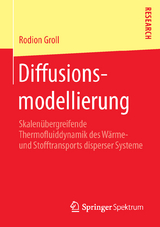 Diffusionsmodellierung - Rodion Groll